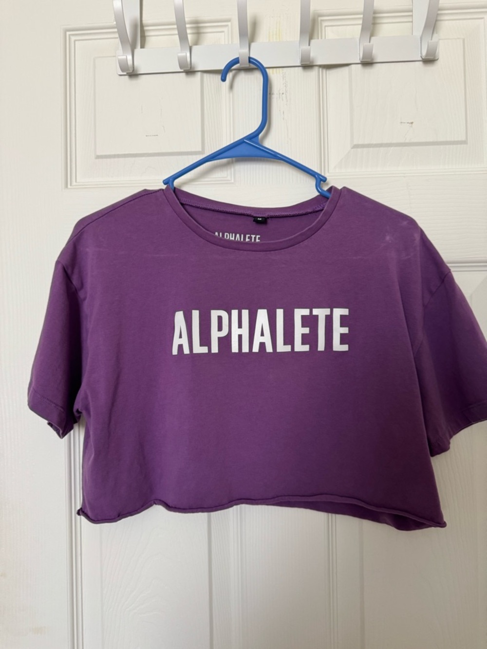 Alphalete Lavender Logo V-Neck Tee